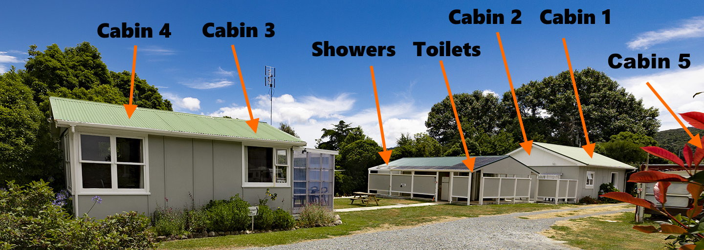 Cabin Layout